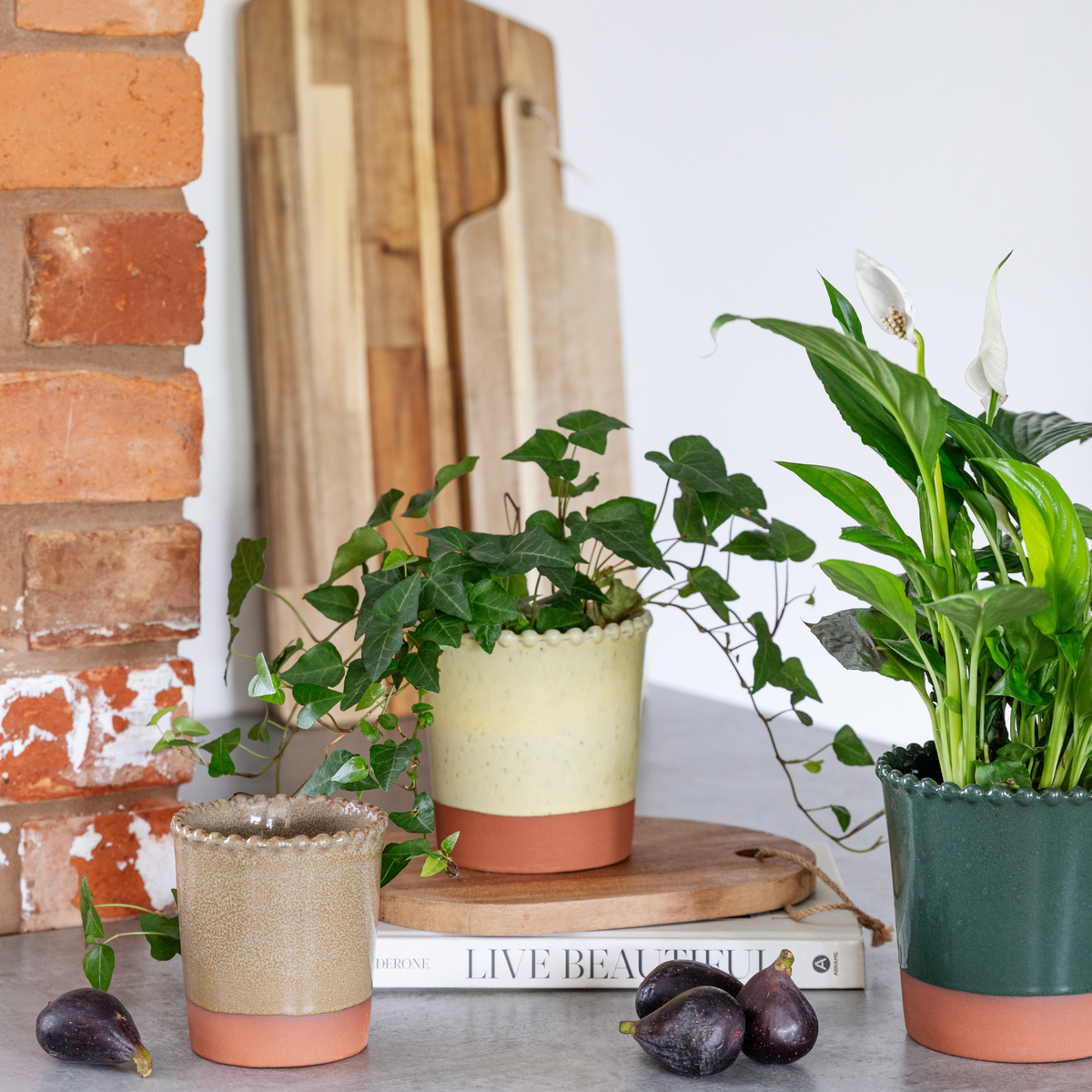 Adeline Beaded Edge Planter - Small
