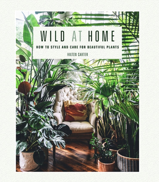 Wild at Home : How to Style and Care for Beautiful Plants by Hilton Carter