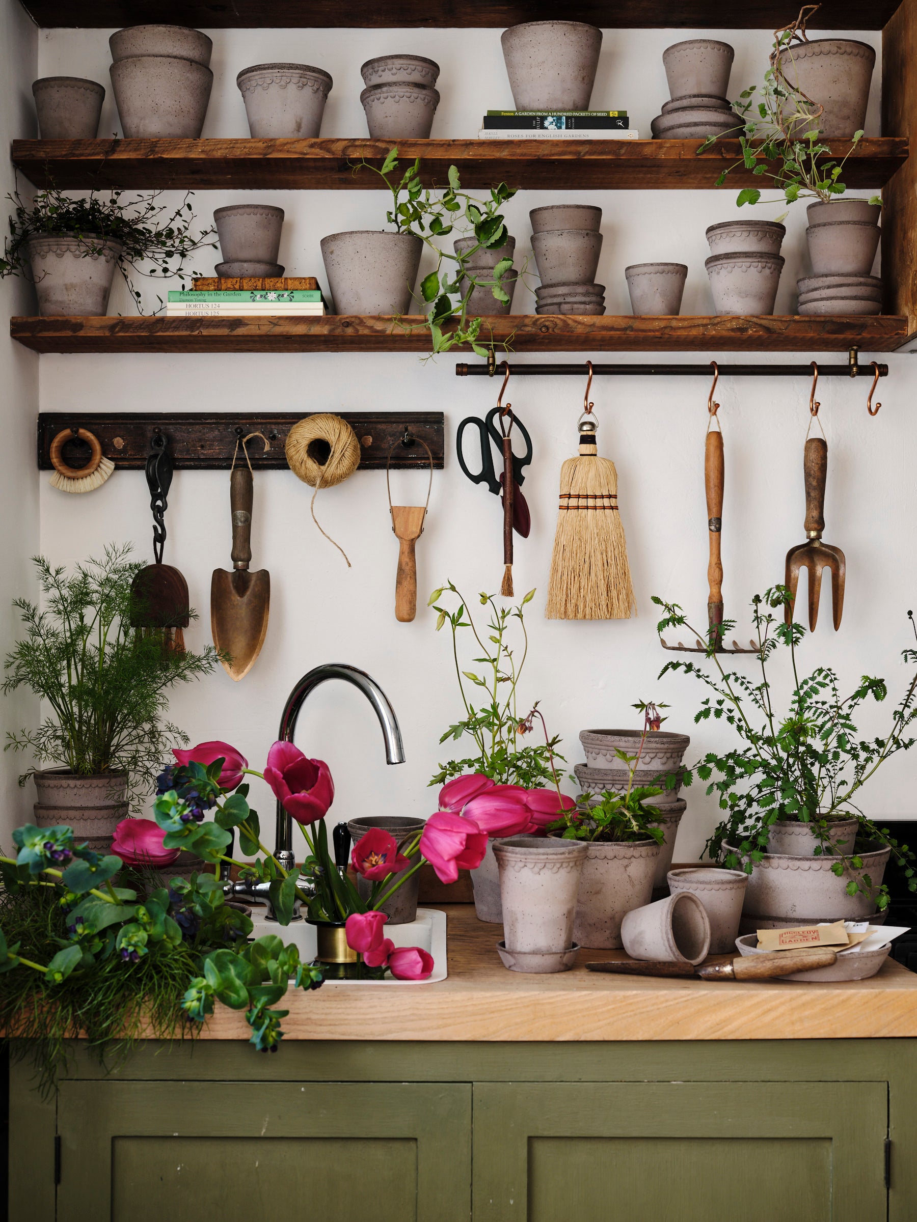 Kitchen with wooden shelves, plants, and kitchen utensils on a white wall.