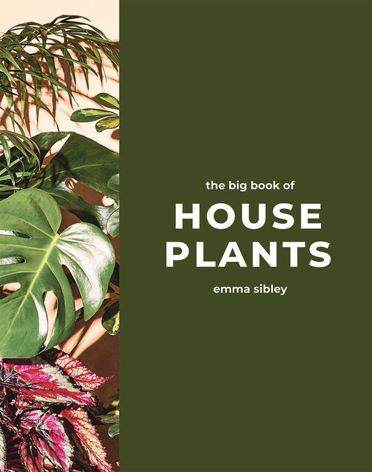 Book cover of 'The Big Book of House Plants' by Emma Sibley with green background and plant images.