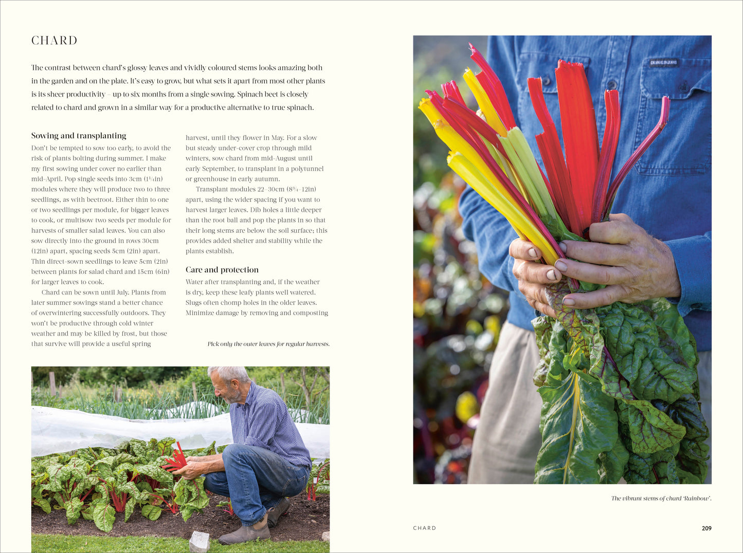 No Dig by Charles Dowding (Hardback)