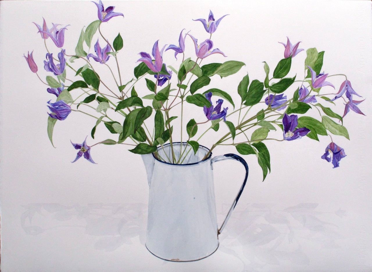 White pitcher filled with purple flowers on a white background