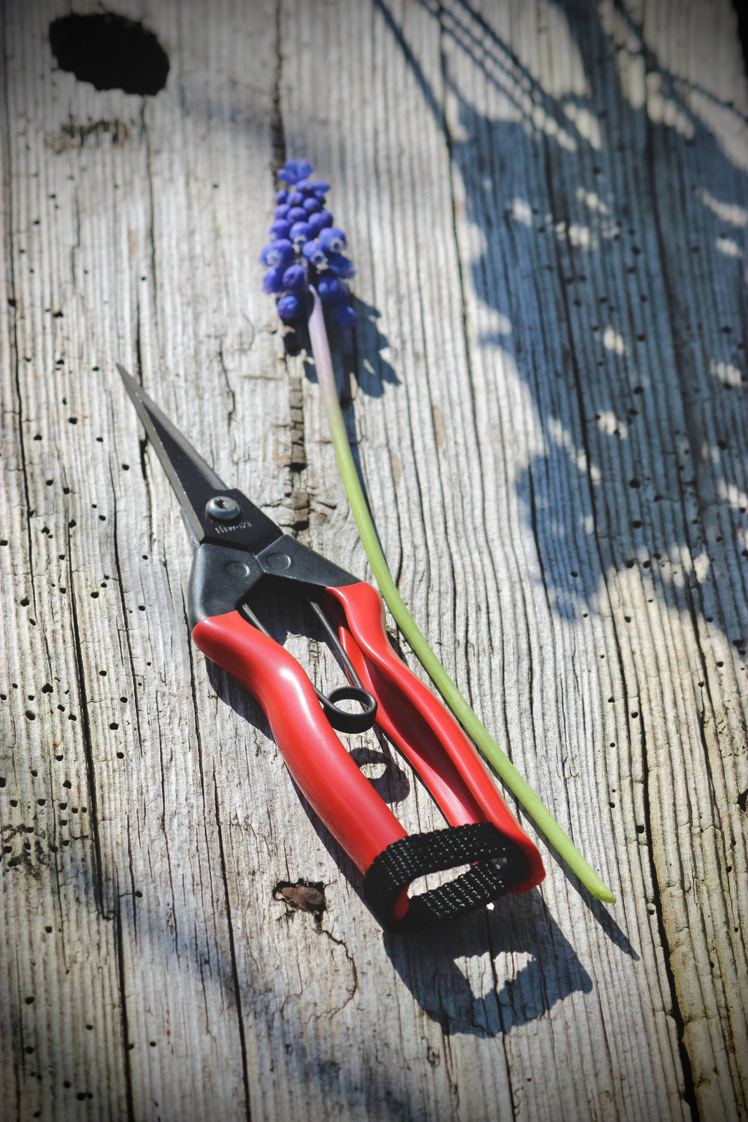 FLORAL SNIPS & SCISSORS – The Country Crib