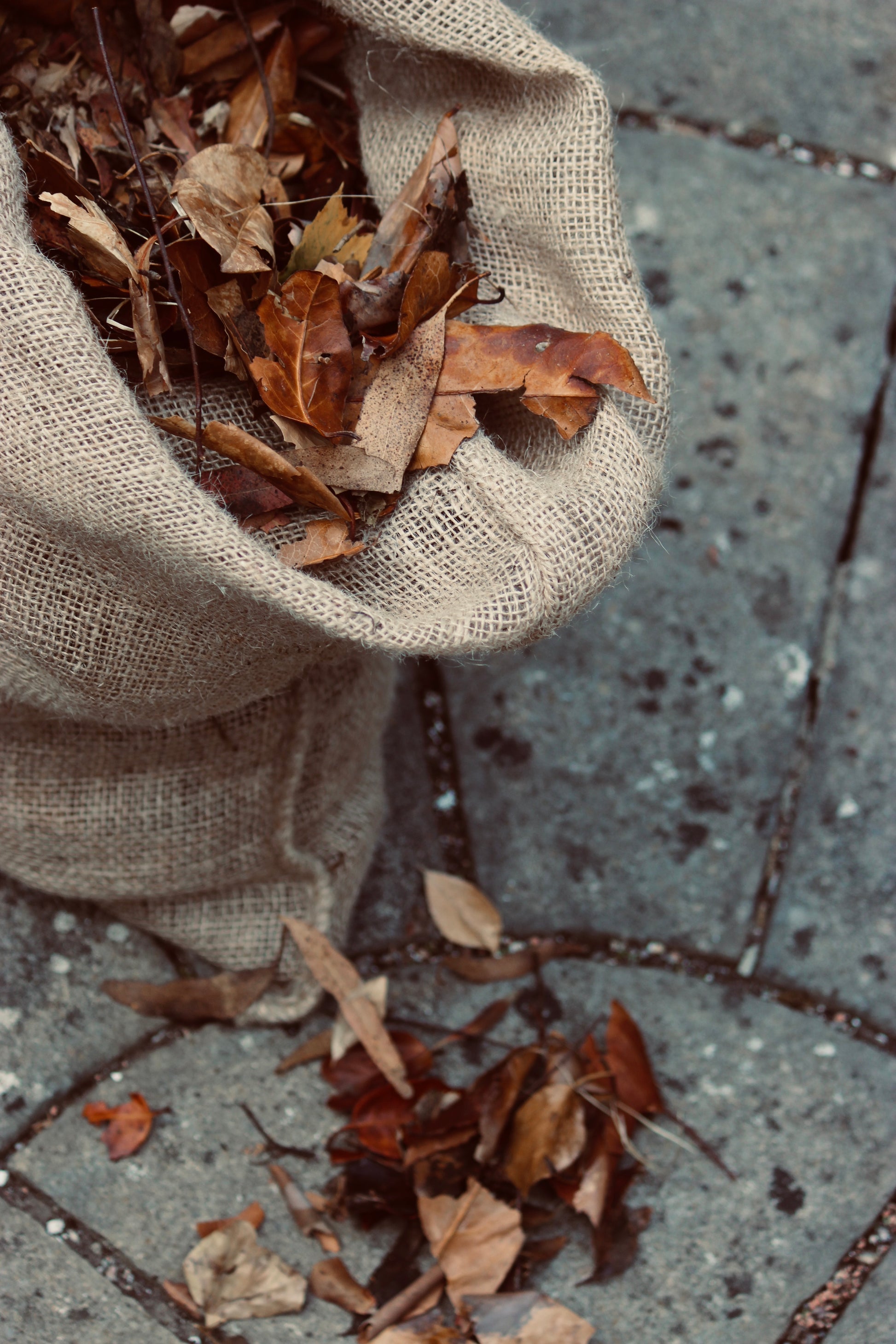 Brown natural jute bag  from Nutscene filled with dried leaves for making leaf mould