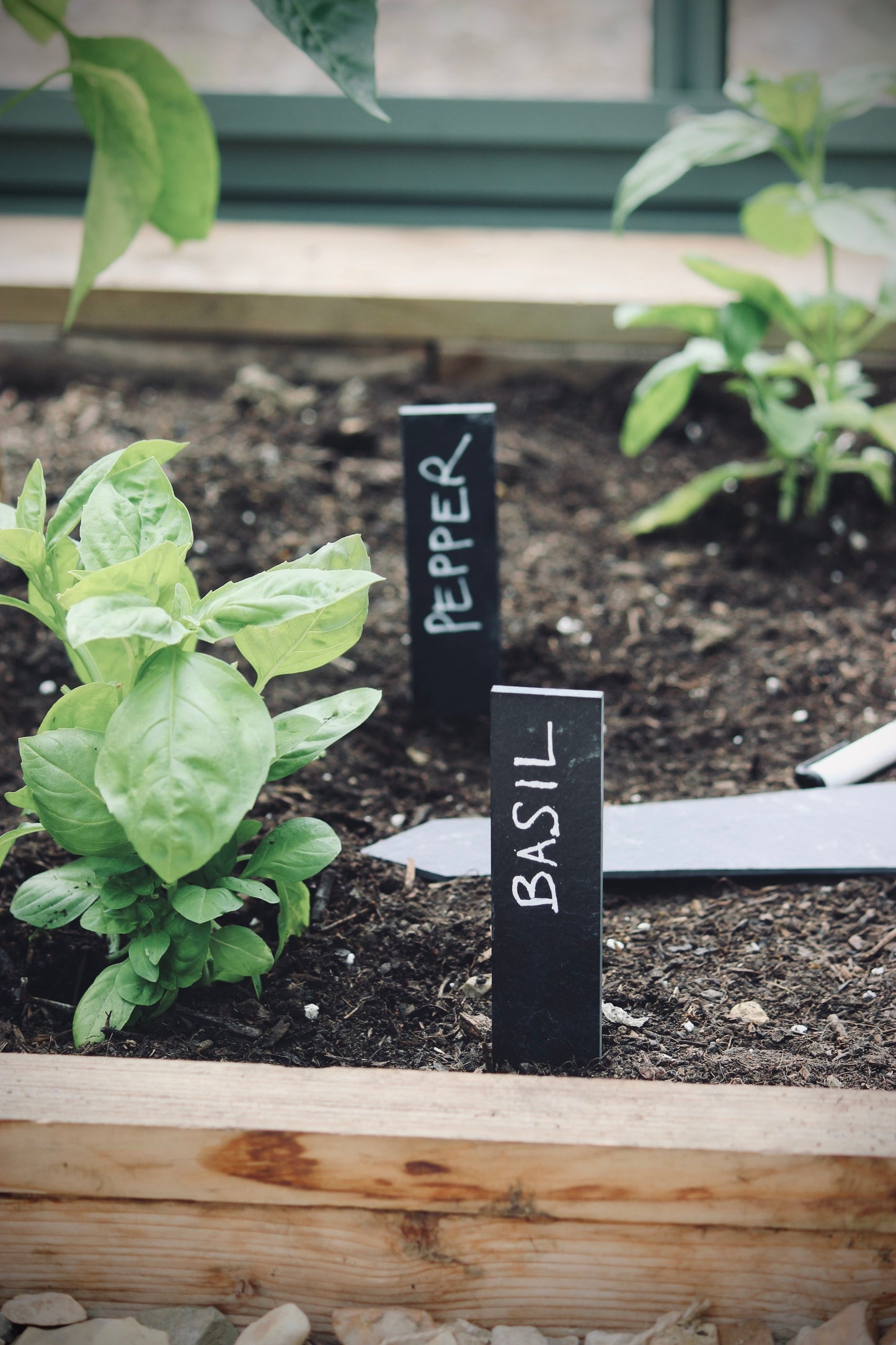 Garden Slate Plant Labels