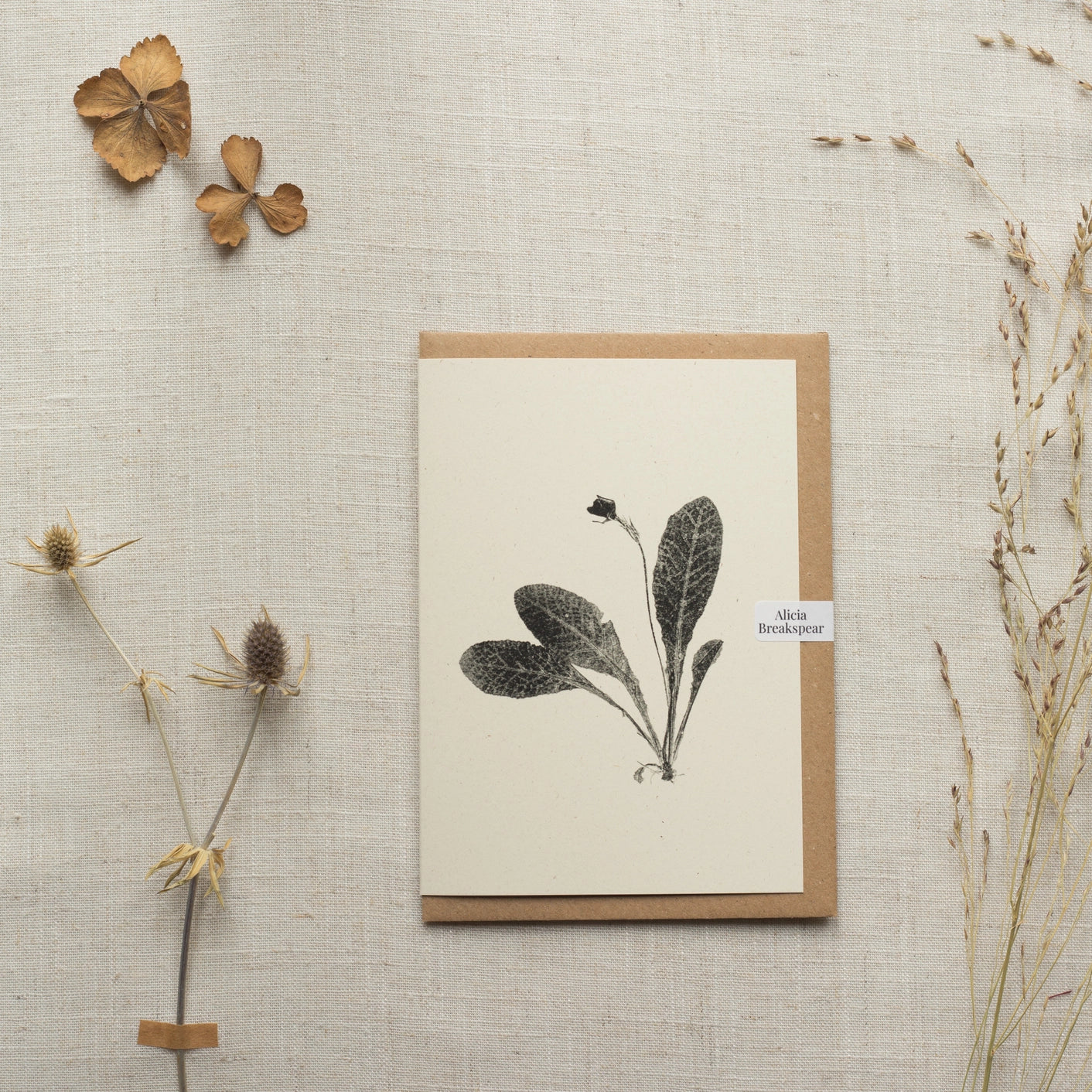 Botanic Greeting Cards by Alicia Breakspear