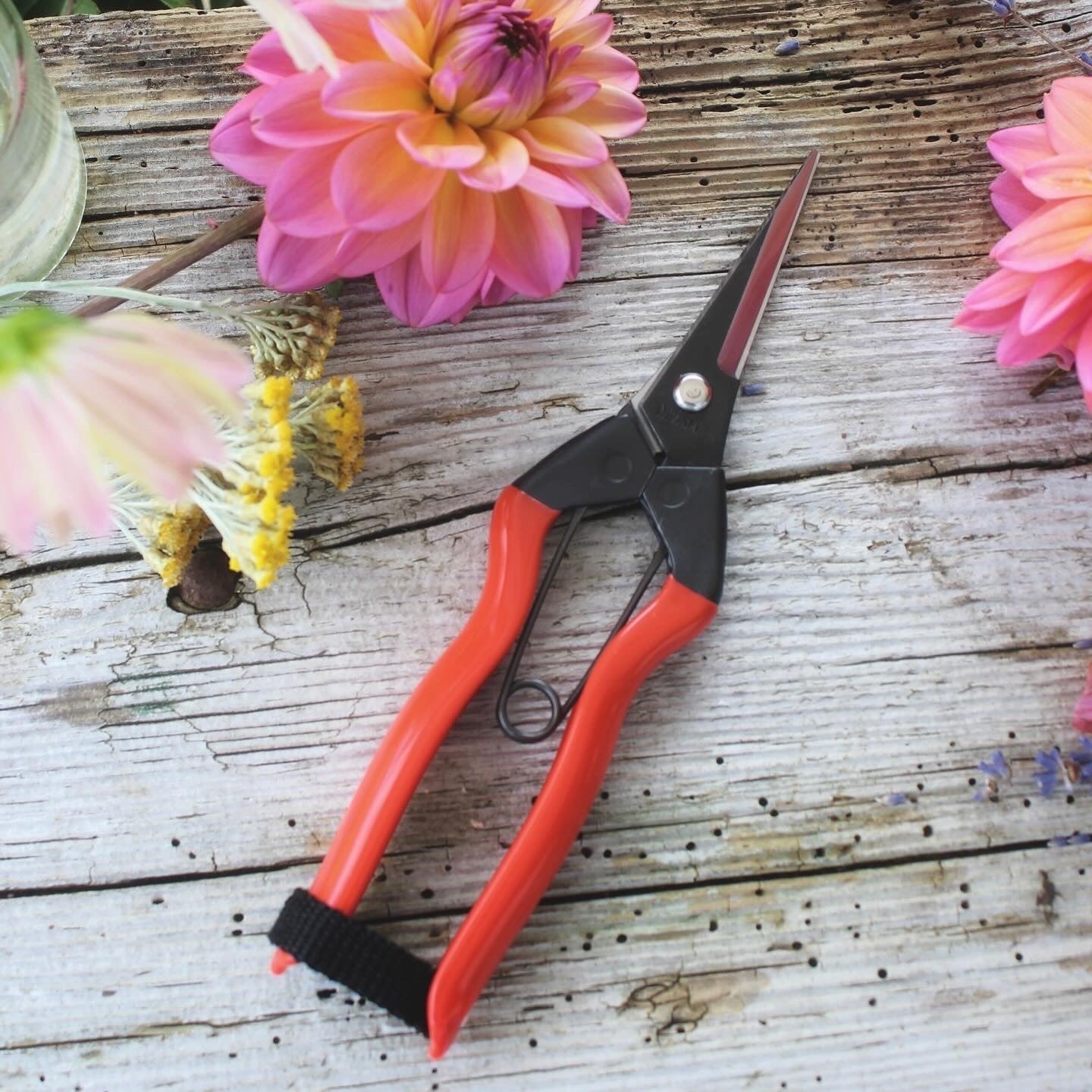 Red-handled Niwaki Simple Garden Snips scissors on a wooden surface with flowers in the background