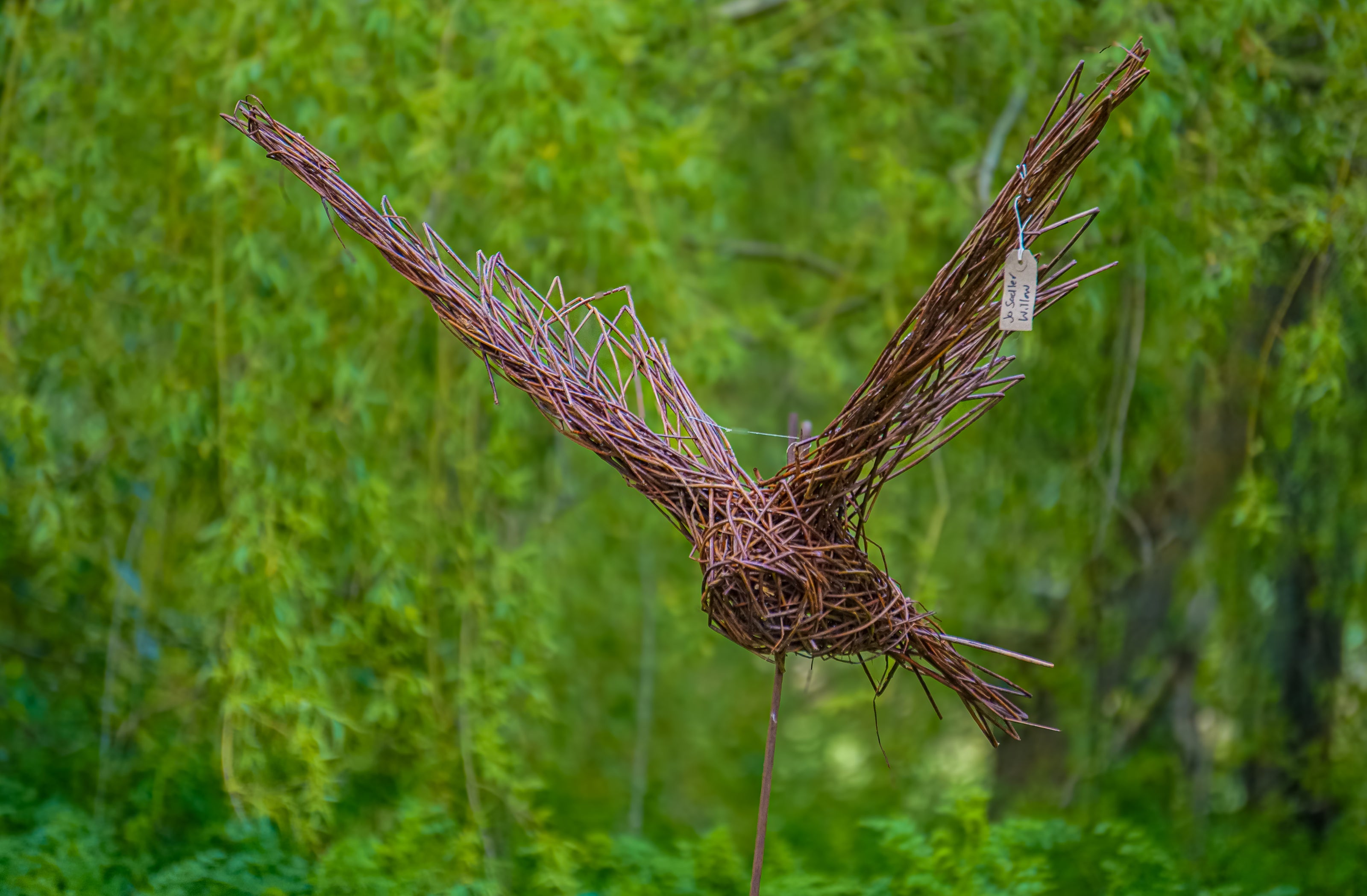 Little Owl / Red Kite Workshop with Jo Sadler