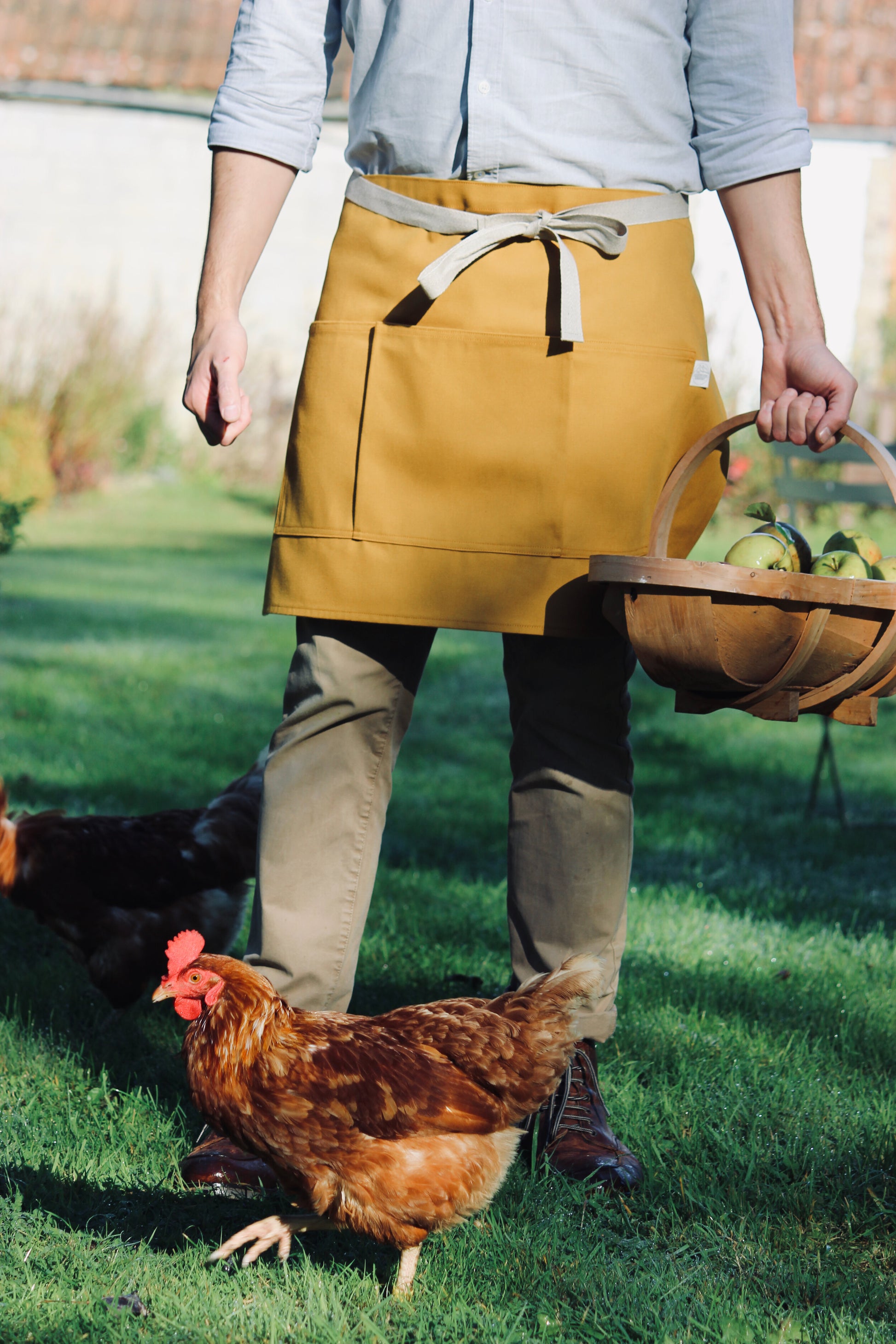 Person in a yellow apron with a chicken and a basket on a grassy area