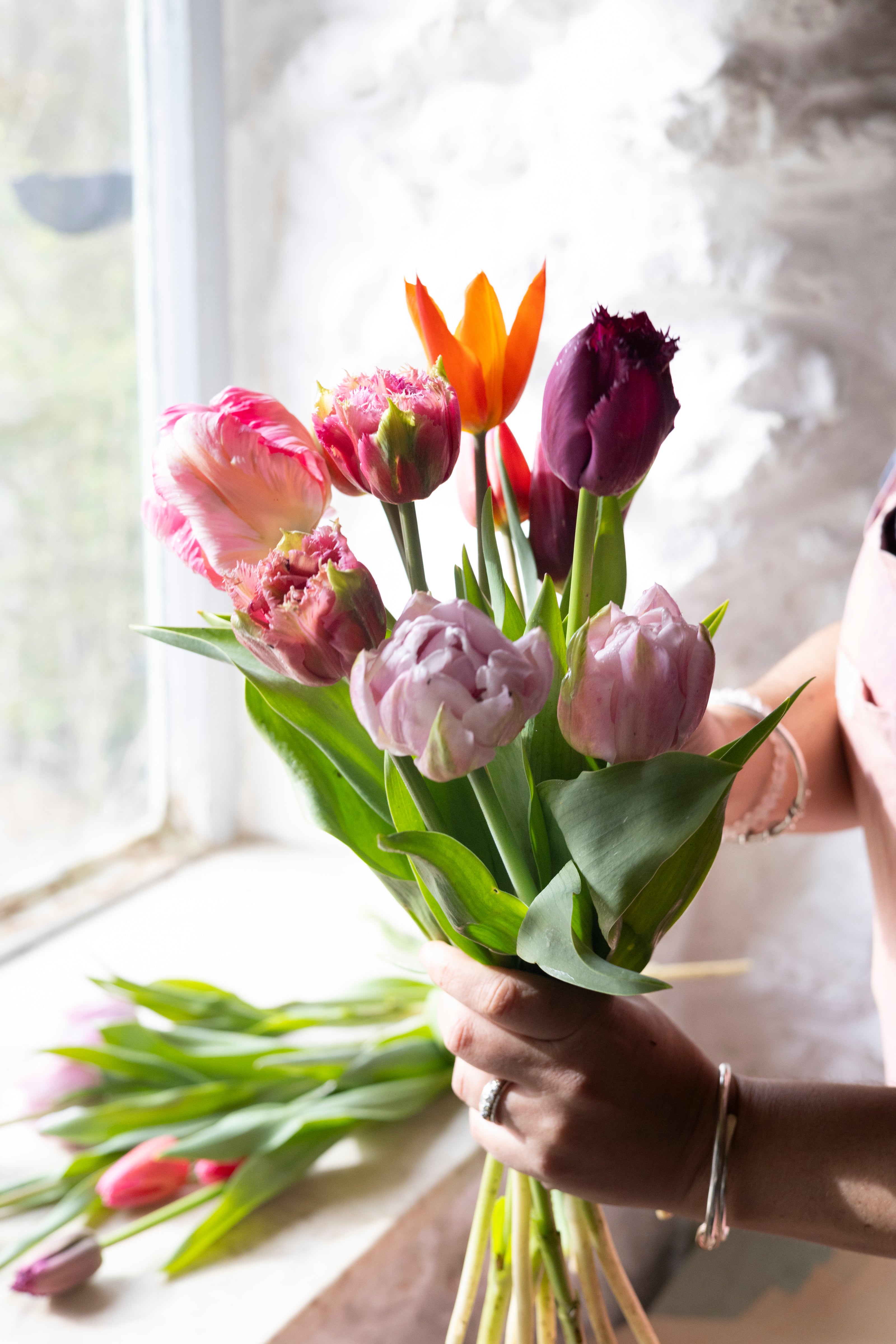 Bouquet of colorful tulips held by a person with a blurred background