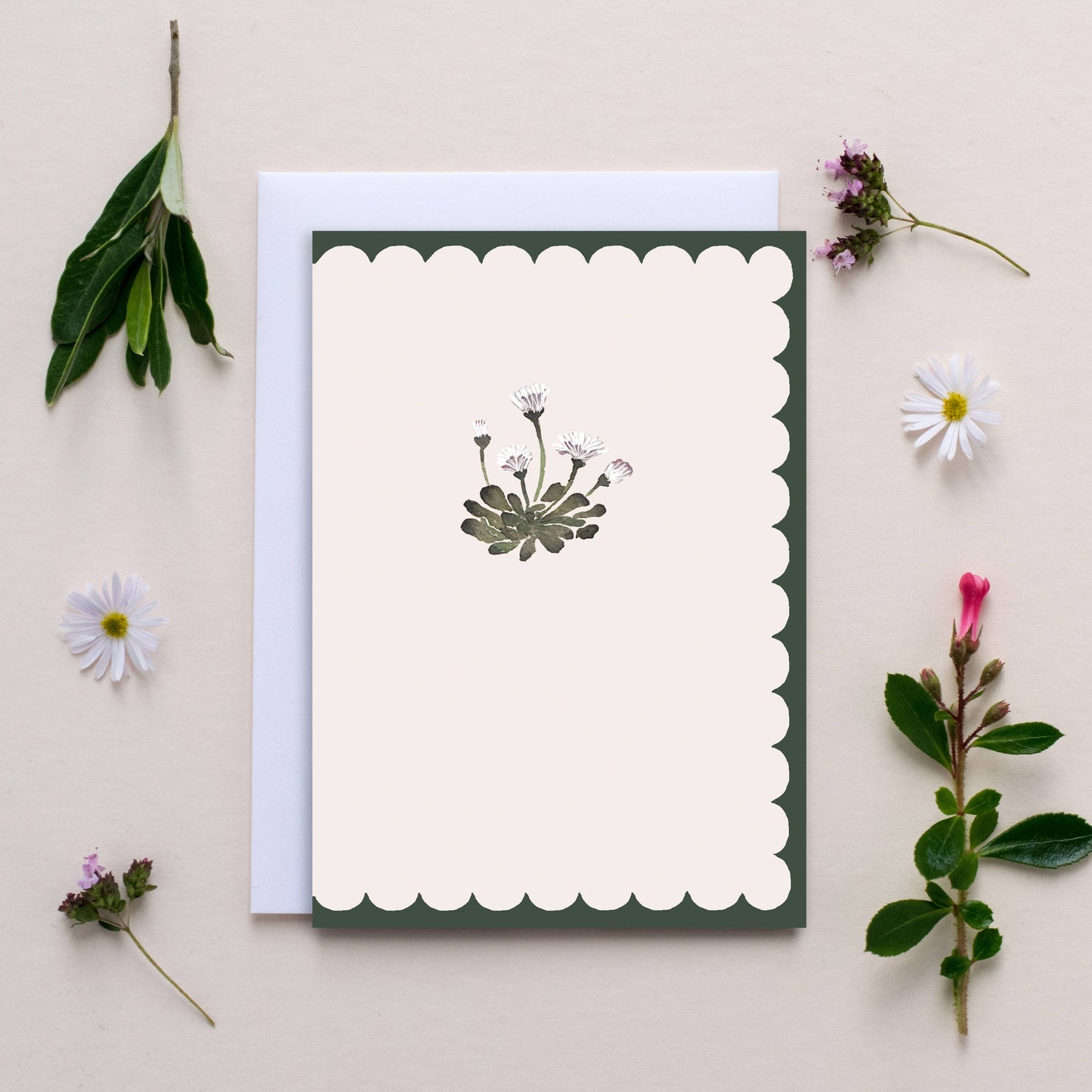 'Scallop Daisy' Blank Just Because Card