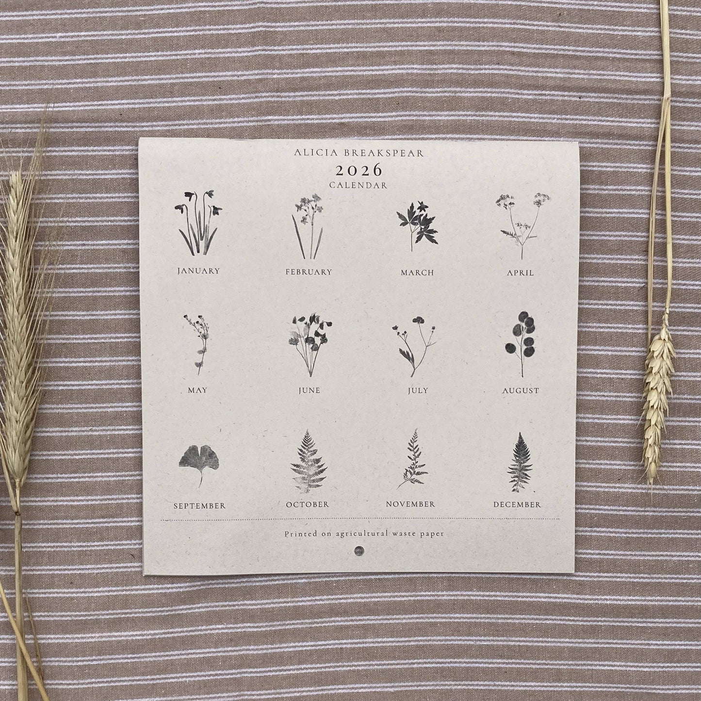 2026 Botanical Art Wall Calendar 