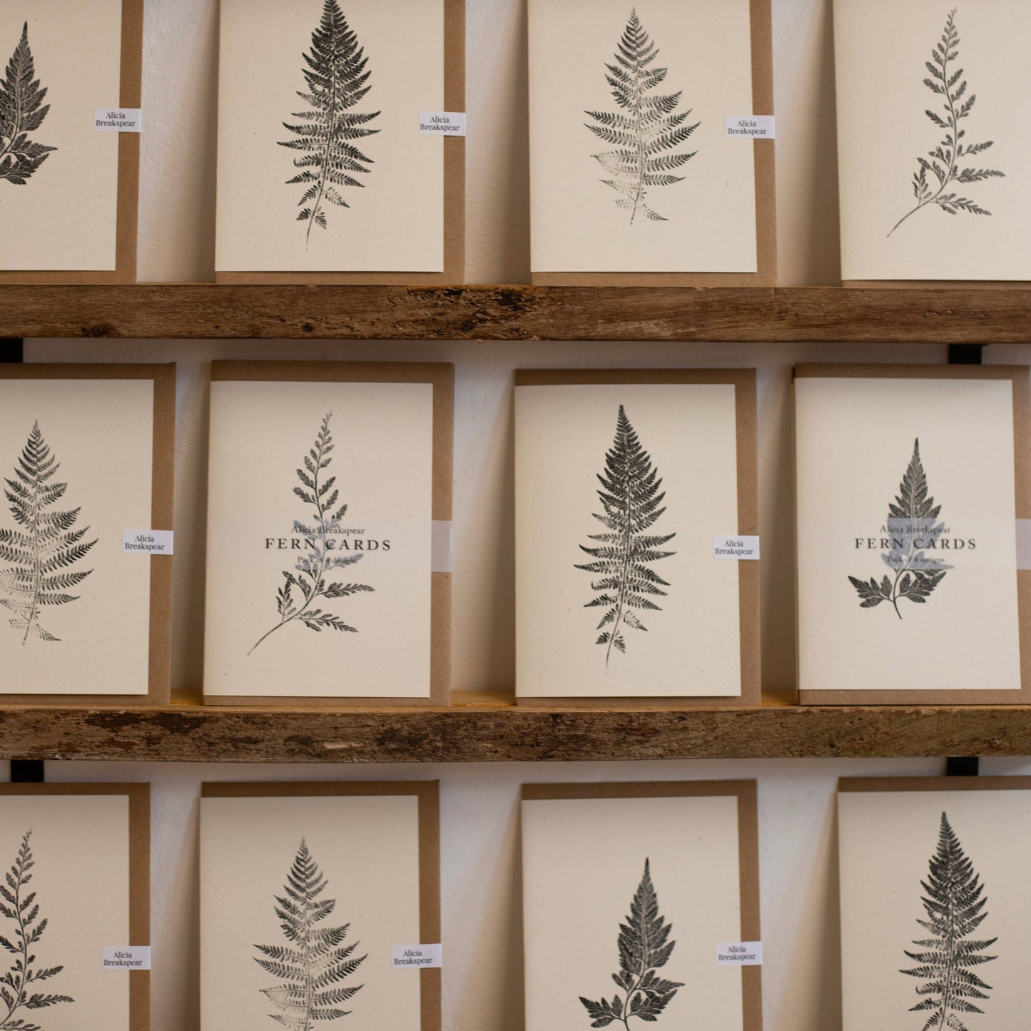 Fern Greeting Cards Pack of 4 Designs 