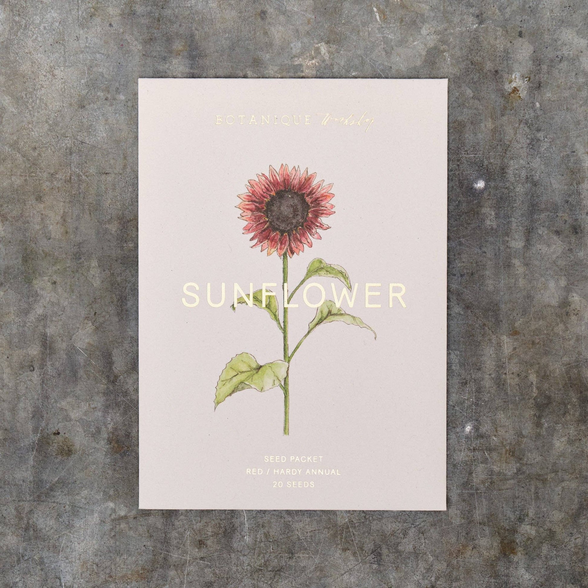 Seed packet of a sunflower illustration on a textured surface
