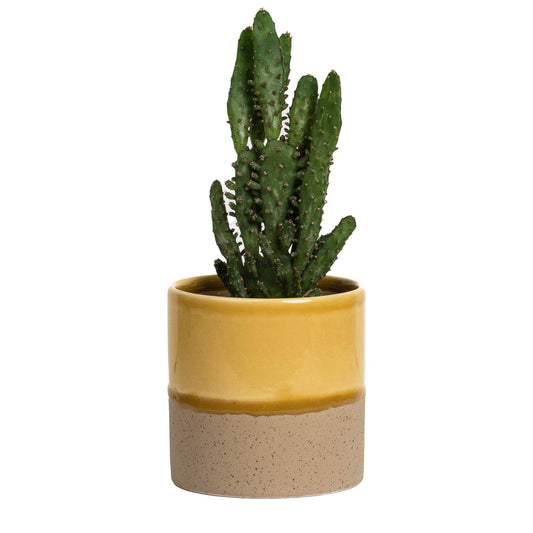 Drip Ceramic Planter Medium - Honey by YOD&CO