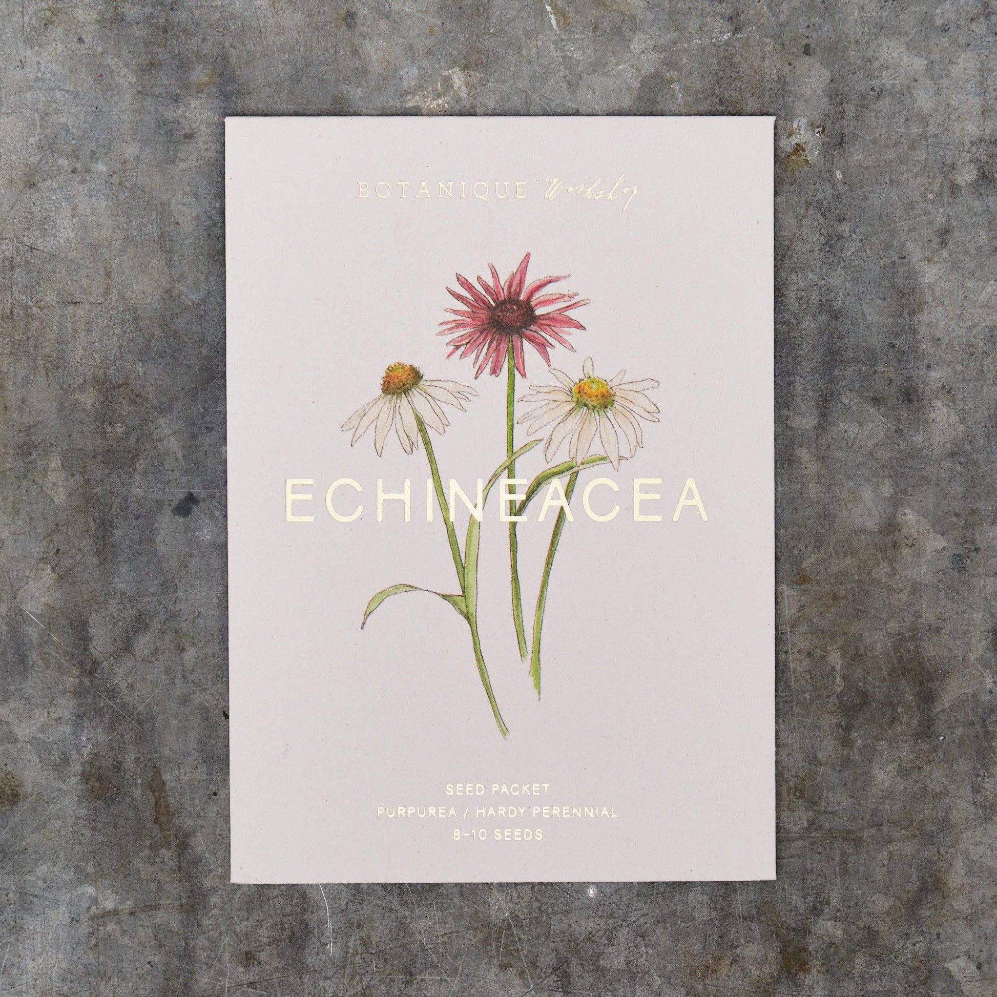 Echinacea seed packet on a textured surface
