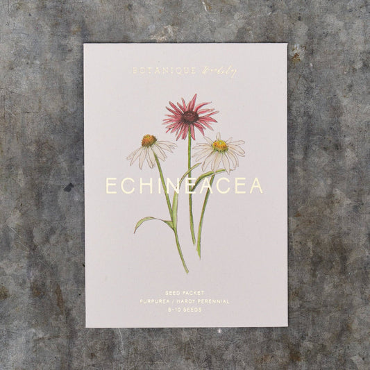Echinacea seed packet on a textured surface