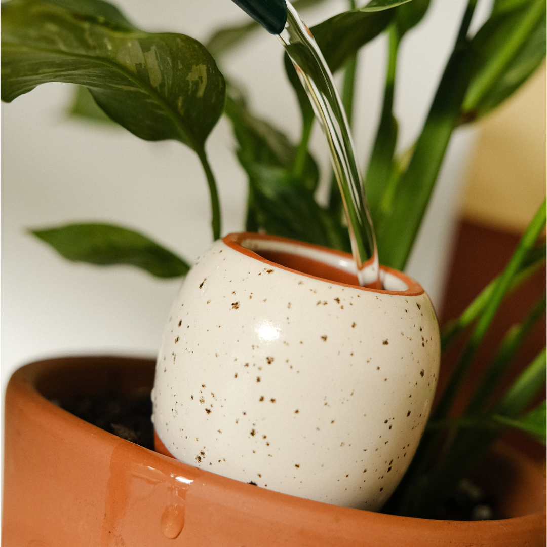 Box Trio Mini Ollas by Pepin