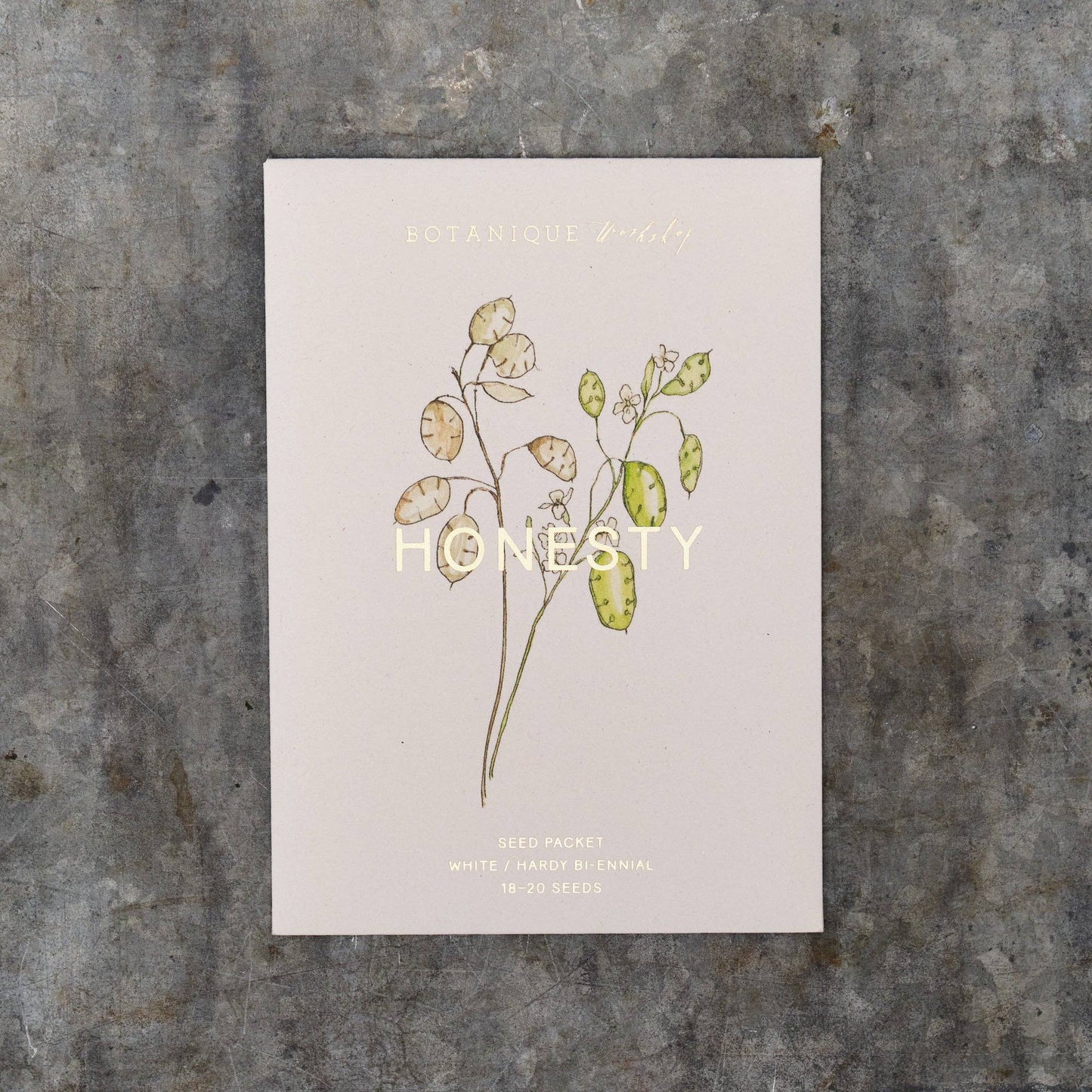 Honesty Seeds