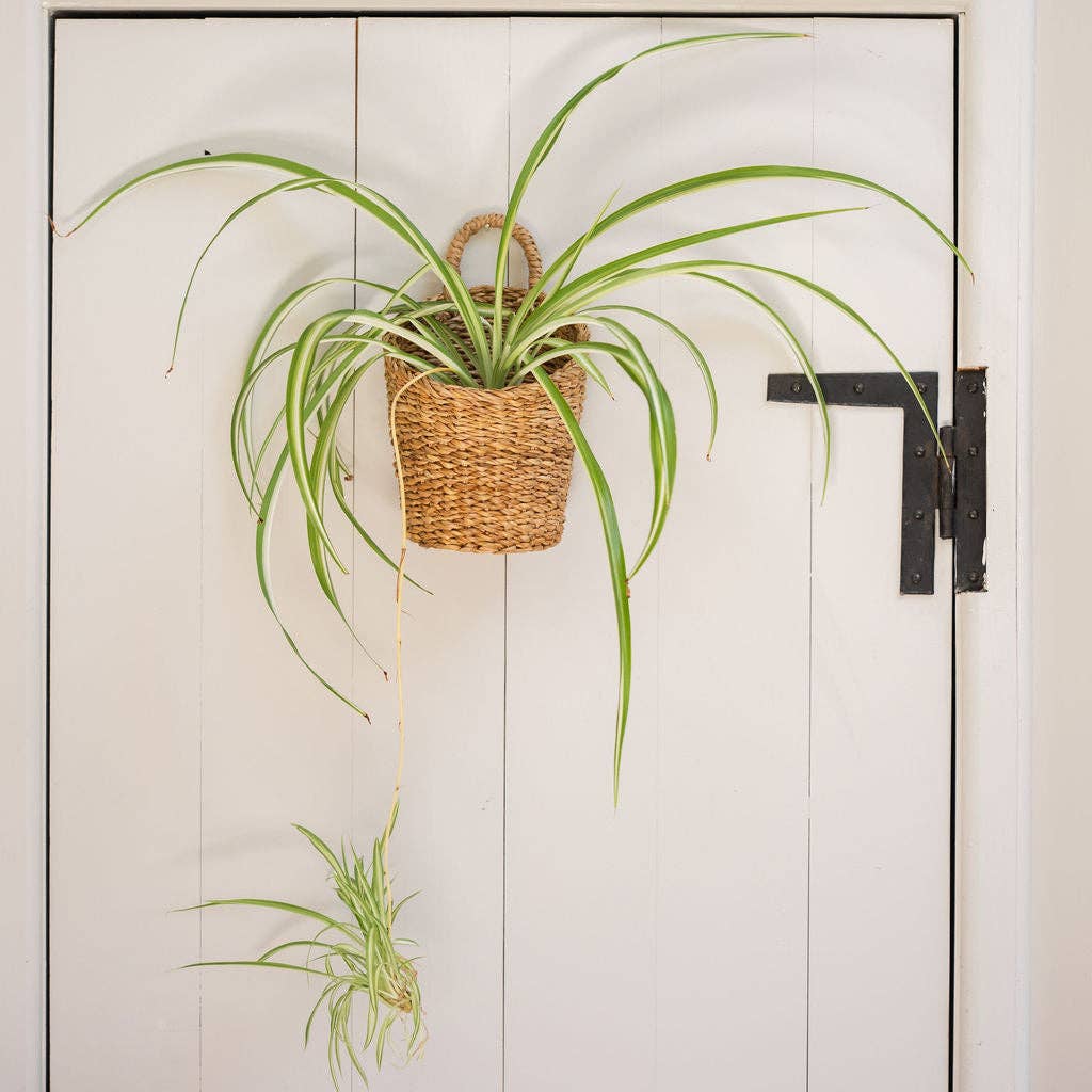 Seagrass Hanging Storage Basket