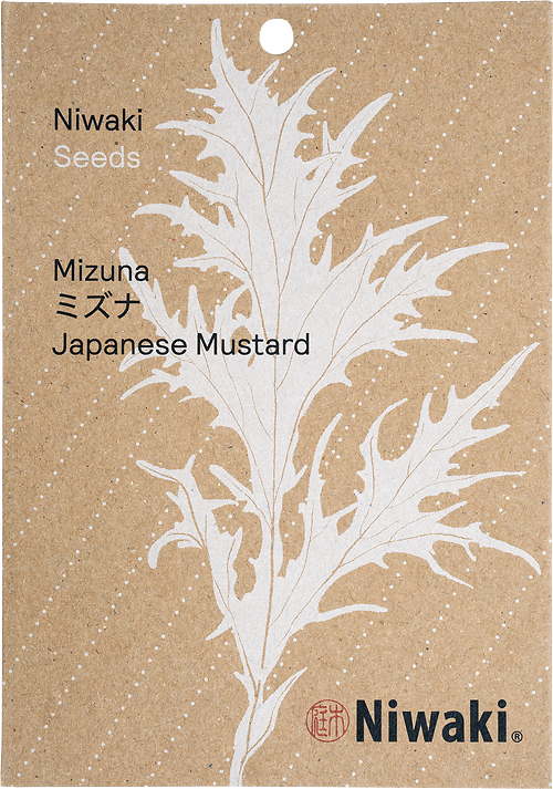 Mizuna Seeds (Japanese mustard)