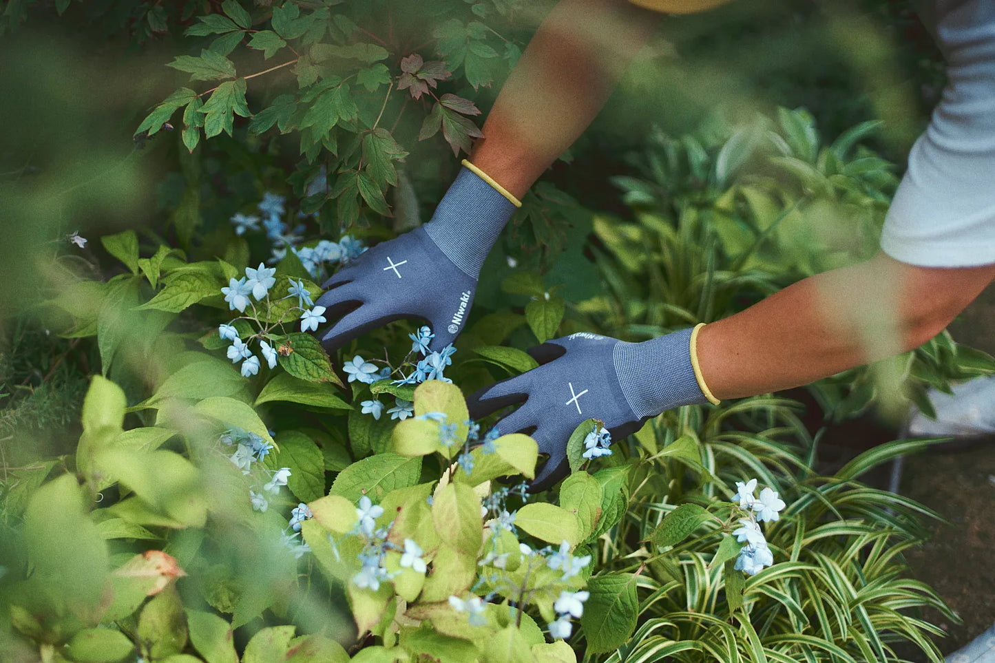 Niwaki Gardening Gloves