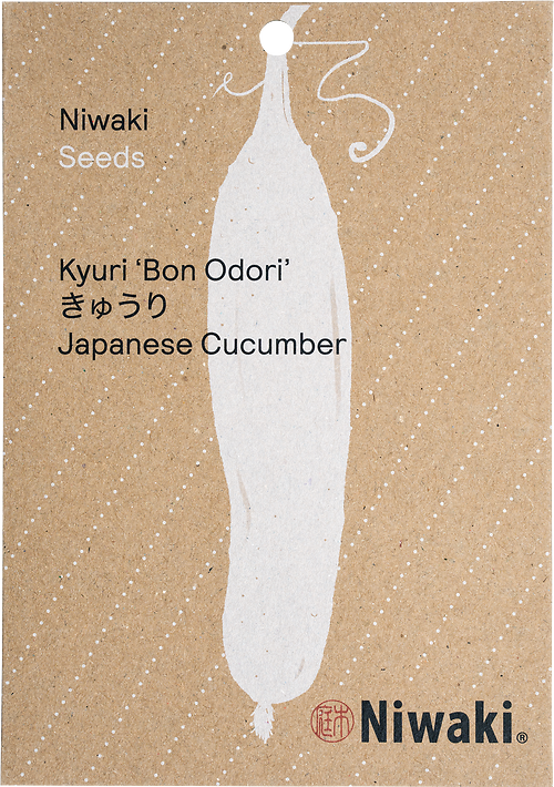 Kyuri ‘Bon Odori’ Seeds (Japanese cucumber)